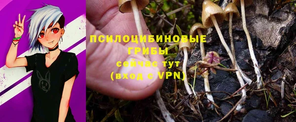 гашишное масло Краснослободск