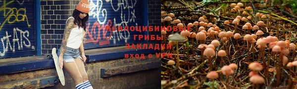 гашишное масло Краснослободск