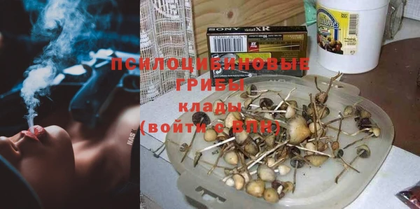 PSILOCYBIN Краснотурьинск