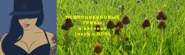 не бодяженный Красноперекопск