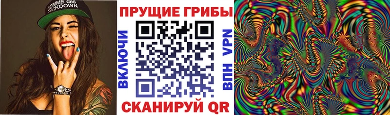 Псилоцибиновые грибы Psilocybine cubensis  Купить где  Камень-на-Оби 